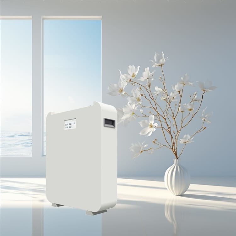 Hoogspanningszonne-energie ESS Lithium-ion batterij 25.6Kwh 30.72Kwh 48V